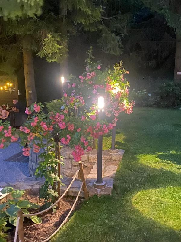 Apartmán Bialy Zakatek Sklářská Poruba Exteriér fotografie